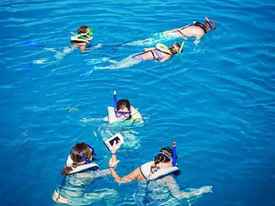 Do IT All Key West Snorkeling Key West Do It All Snorkeling Snorkel
