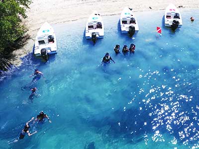 Key West Safari Exo Tour Snorkel Key West Safai Eco Tour Snaorkel